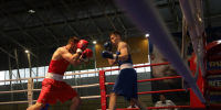 boxers 261026 25 - Газета Магаданская правда