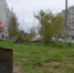 Ветераны из Волжского Волгоградской области занялись благоустройством города - Газета Вечерний Волгоград