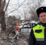 В Белом Яре водитель погиб, врезавшись в дерево - Газета Хакасия
