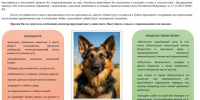 Памятка владельцам собак: выгул только на поводке!. - Нижнеингашский район