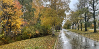 сырой осенний тротуар - Петрозаводск говорит