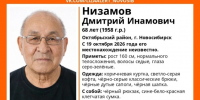 Розыск пропавшего человека / Фото: "ЛизаАлерт"  Новосибирск - ИА Амител