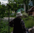 Дачники привыкли воспринимать золотарник как безобидное растение (фото носит иллюстративный характер) | Источник: Александр Ощепков / NGS.RU - 76.Ru