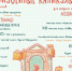 Каникулы в музее - Чувашский Национальный музей