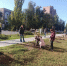 В Аксае продолжается работа по благоустройству и озеленению города - Аксайское городское поселение