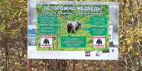 Проведено выездное обследование по фактам появления кавказского бурого медведя - Министерство природных ресурсов и экологии
