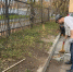 Наводим чистоту! В Красногорске проходят субботники - Городской округ Красногорск