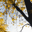 calm-autumn - ТРК Щелково