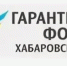 Поручительства Гарантийного фонда Хабаровского края для субъектов МСП и самозанятых - Верхнебуреинский район