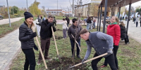 В Липецке появилась ещё одна аллея от фонда «Милосердие» - Липецкая ГТРК