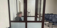 Жительница Бессоновского района обвиняется в причинении смерти сожителю - Пенза-Обзор
