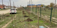 В селе Новолакское переселенческого Новолакского района прошла экологическая акция - Сетевое издание Голос времени
