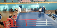 Соревнования по боксу - Камешкирский район
