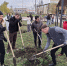 В Липецке появилась ещё одна аллея - Город Липецк
