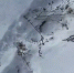 image - GazetaRB.Ru