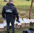 В Польше изъяли крупную партию сигарет, летевшую на метеошарах - NewKaliningrad.Ru