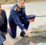 Нажмите, чтобы увеличить изображение 0.jpeg - Администрация Буденновского МО