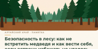 Как обезопасить себя от встречи с медведем – рассказываем в инфокарточках - Минприроды Алтайского края