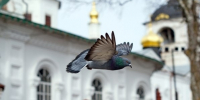 Что нового принес Спаситель на землю. - Женский монастырь Дивеево