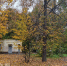 Дзержинск накроет резкое похолодание до нуля после аномального тепла - ProDzer.Ru