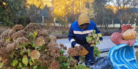 В Балакове продолжаются плановые работы по благоустройству - Балаковские вести