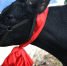 Картинка - Regions.Ru
