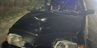 Женщина попала под колёса автомобиля в Воронежской области - Bloknot-Voronezh.Ru