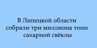 Три миллиона тонн сахарной свёклы собрано в Липецкой области - Народное слово