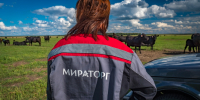 Понедельник — день тяжелый не для всех: «Мираторг» выяснил, кому работа приносит счастье - ИА Наш Брянск.ru