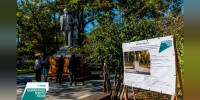 Готовность Курортного парка в Саках достигла 65 процентов - КрымИнформ
