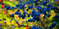 Картинка - Regions.Ru