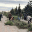 В Первомайске и Калиново прошли трудовые десанты по благоустройству общественных пространств - Город Первомайск