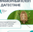 5366429218675304311.jpg - Ахтынский район