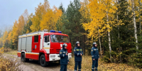 пожарные в лесу - РИА 7 Новостей