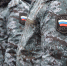 ТОП-3 необычных предметов, которые граждане пытались пронести в суды Ставрополья - УФССП России