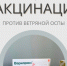 . - Краевой центр СПИД
