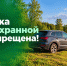 127 нарушителей оштрафованы за парковку у воды с начала года - Министерство экологии