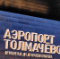 Иностранец пошёл под суд за попытку вывезти валюту из Новосибирска - NSKNews.Info