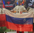 Золото и серебро выиграли волгоградские кикбоксеры на чемпионате мира - Газета Городские вести