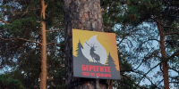 Штормовое предупреждение продлили на неделю в Челябинской области - Pchela.News