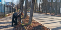 Ковровчане приводят в порядок свой город - Город Ковров