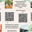Поддержка семей с детьми в Ярославской области: что положено? - Министерство здравоохранения