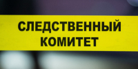 За убийство ребенка и женщины в Петербурге разыскивают учителя математики - 47 новостей