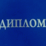 Руководитель НКО в Мордовии обвиняется в продаже поддельных дипломов - Вестник Мордовии