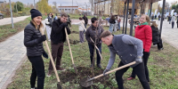 Волонтёры высадили 110 деревьев в Рудничном парке - LipetskNews.Ru