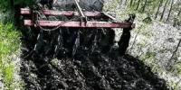 В лесах Орловской области создано 200 км новых противопожарных полос - OrelTimes.Ru