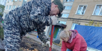 Тридцать семь елей: жители Саранска сами преобразили свой двор на улице Пушкина - Pg13.Ru