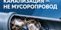 6c559c0c-8a5f-4bd6-bcab-e5a9a192a830.jpg - Славянское городское поселение