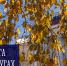 Работа в округах - Город Мурманск
