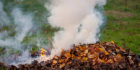 Фото: https://pnzreg.ru - Penza-Post.Ru